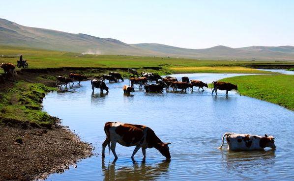 内蒙古，致敬嘉宾与观众朋友们